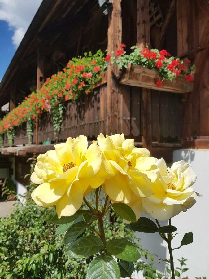Muellerhof Villa Anterselva di Mezzo Exterior foto